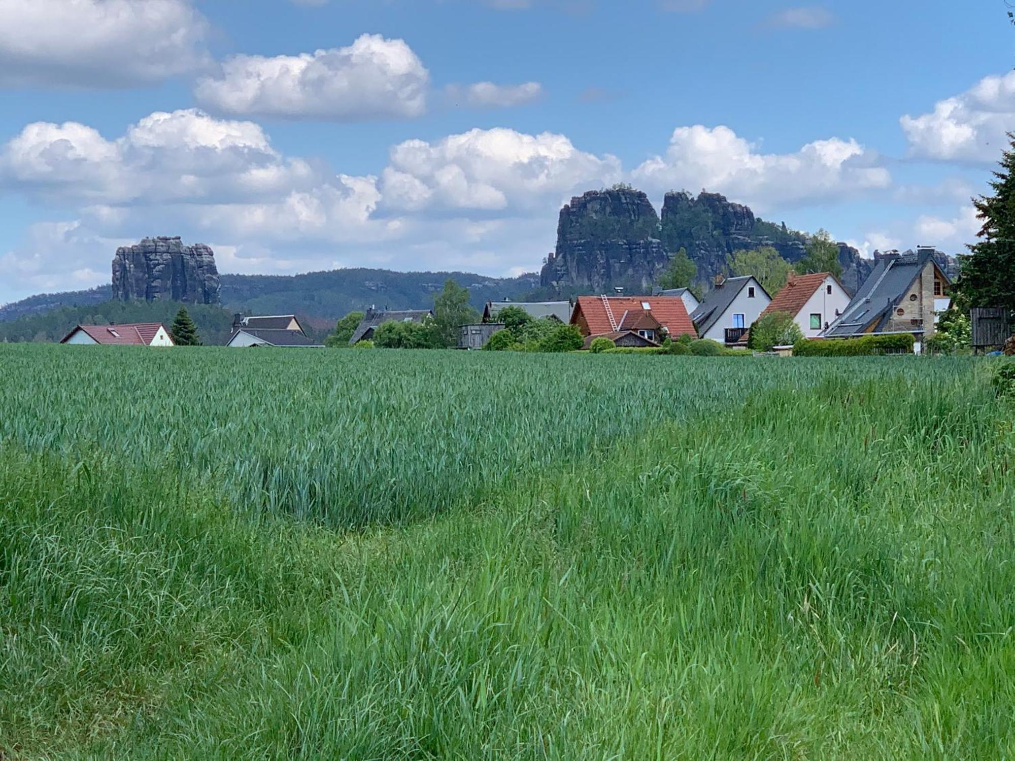 Gasthof Zur Hoffnung Hinterhermsdorf Εξωτερικό φωτογραφία
